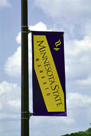 MSU banner