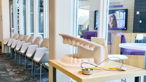 The Public Dental Clinic lobby with a mouth model and toothbrush on the table