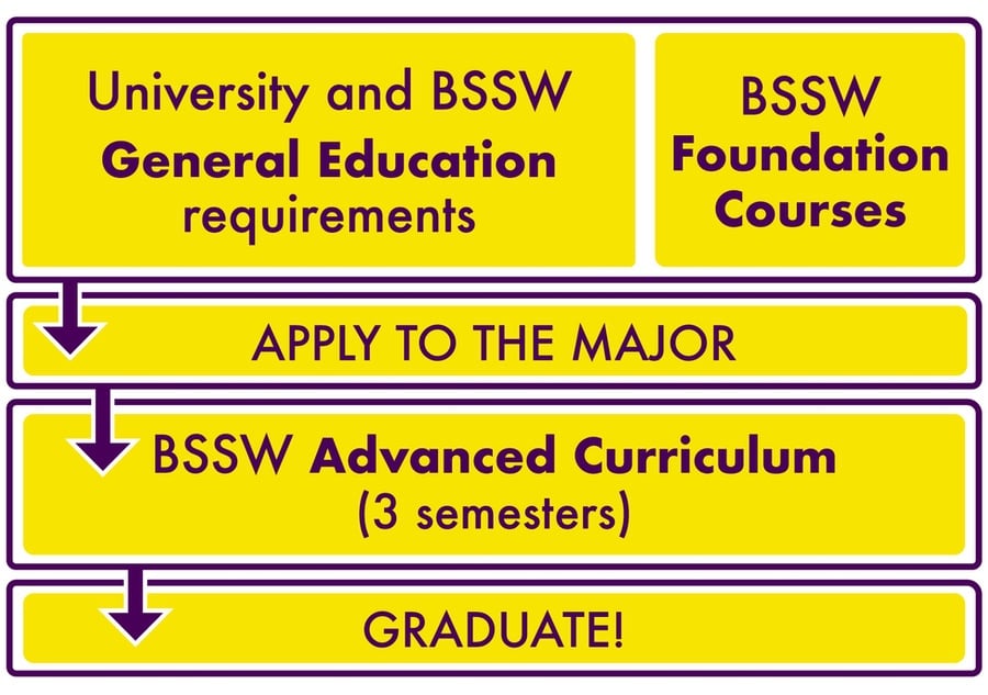 bssw-program-curriculum-graphic.png