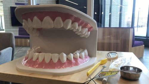giant mouth model exhibit with toothbrush, mirror and floss on a table in the dental clinic lobby