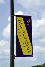 MSU banner