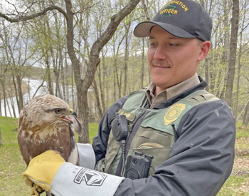 Nick Baum in the field holding a very large bird with a special glove on.