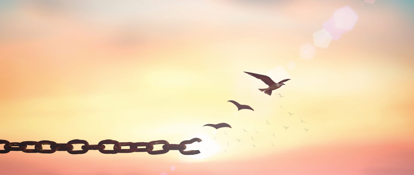 a chain with a bird flying in the sky