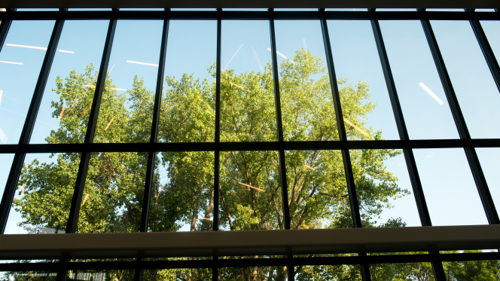 Looking through the windows from inside the Maverick Family Nursing Simulation Center with trees and a blue sky in the background