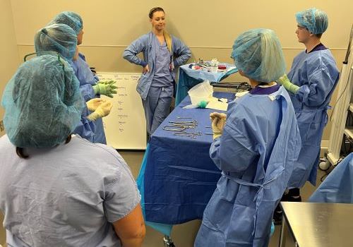 Students working in the Maverick Family Nursing Simulation Center