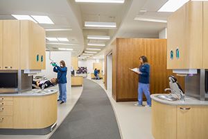 Students working in the Minnesota State Mankato's Dental Hygiene Oral Health Clinic